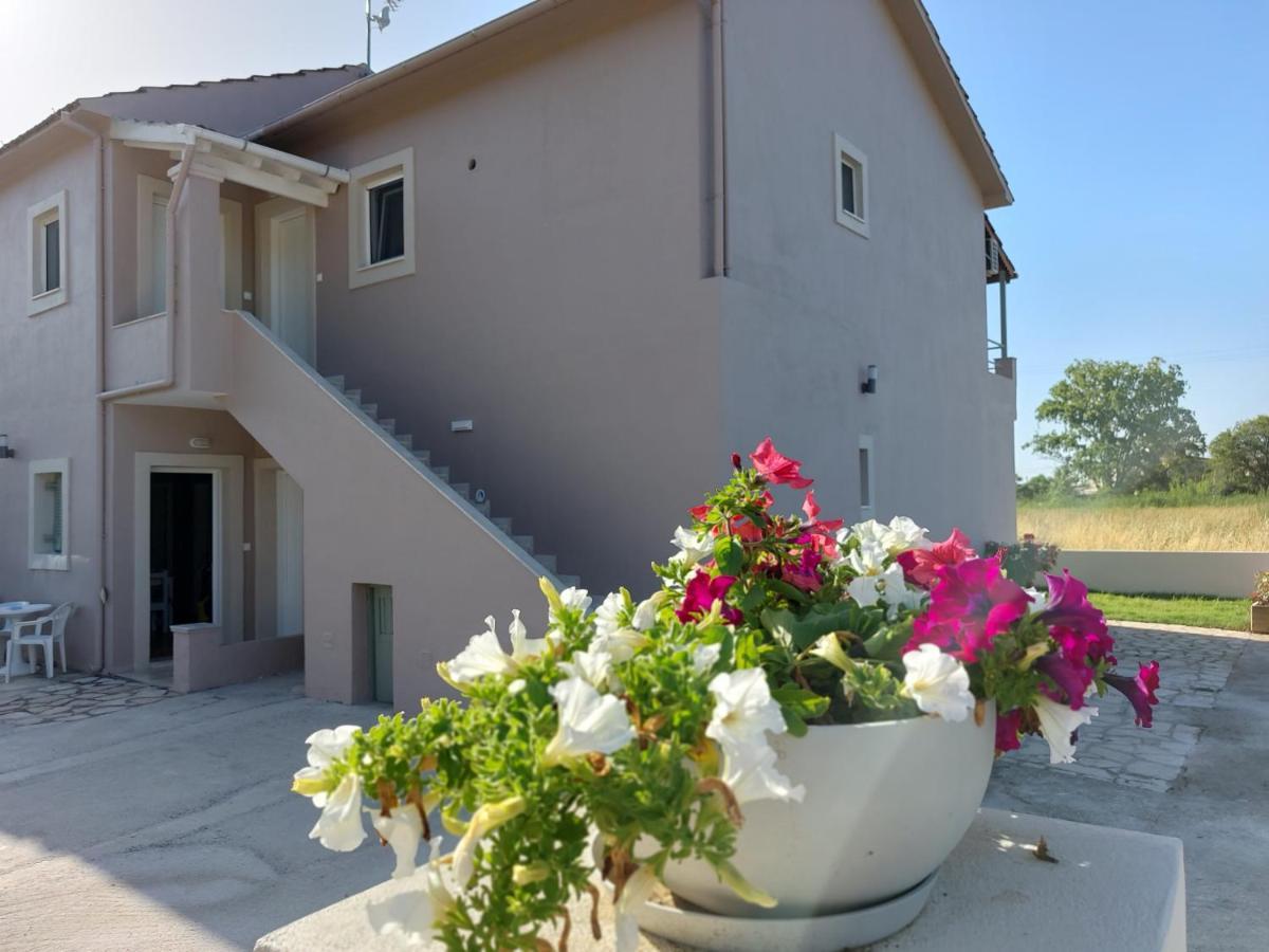 Evelina Luxury Suites In Corfu Ypsos Dış mekan fotoğraf